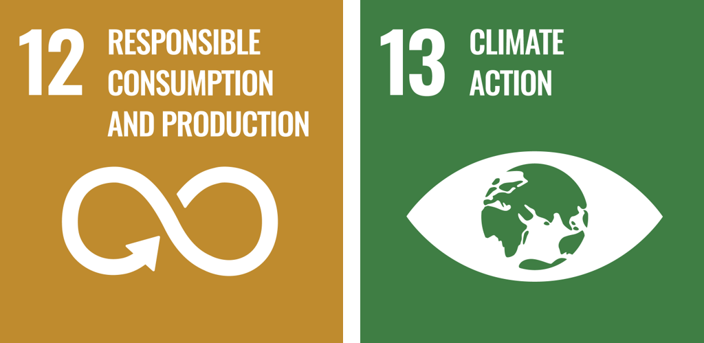 SDG 12-13 SDG 12-13