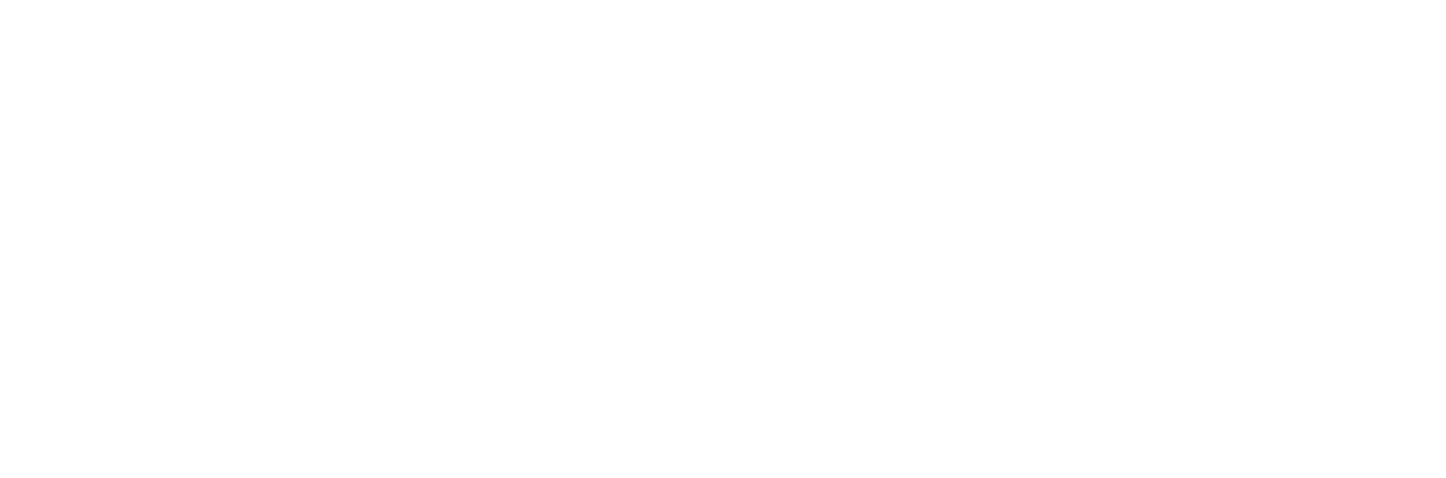 Logo destro